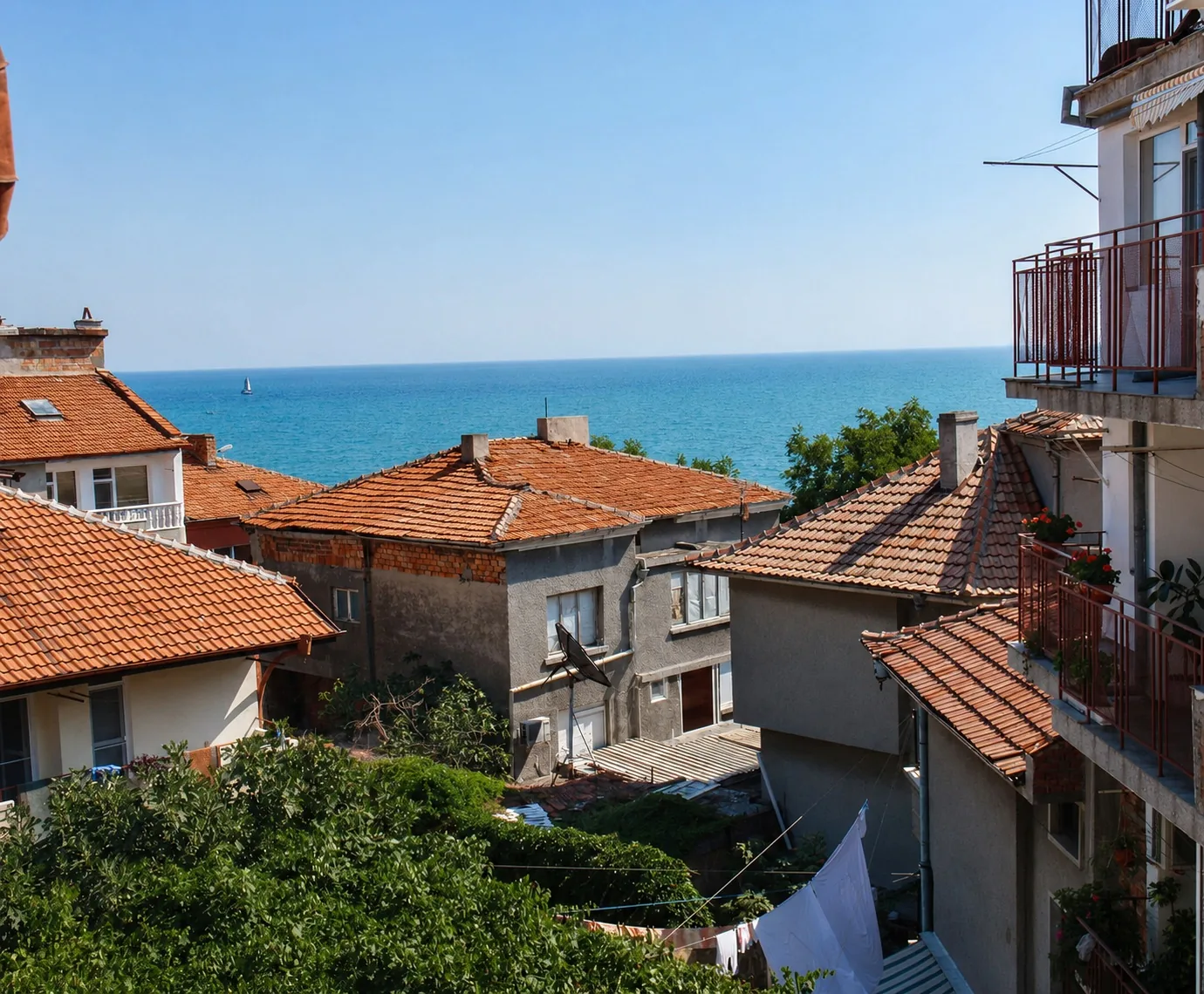 Дара 1